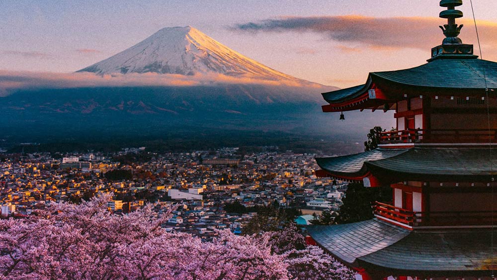 Tokyo-Narita Japan Explorer – A Great Travel Resource - Kuma Lodge
